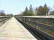 A long wooden bridge crosses wetlands