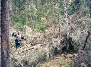 The Larus - Murdock portage, spring, 2000