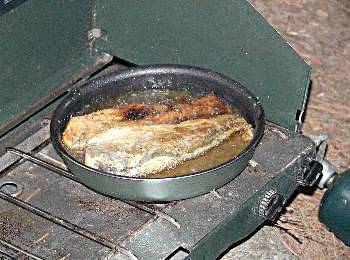 Fried trout for supper - Algonquin Provincial Park