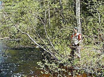 Marc Fishing