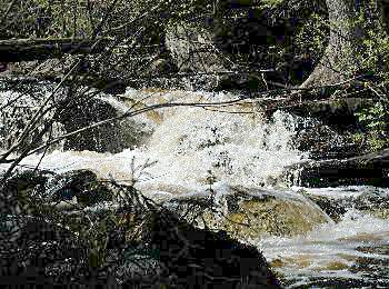 A stream of rushing water - ideal fishing in Algonquin Park