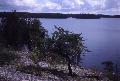 Haggart Lake - Woodland Caribou Park, Ontario