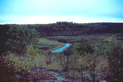 The Wanipigow River between Wallace Lake and Siderock Lake