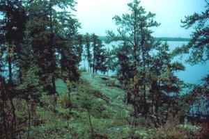 Campsite on Siderock Lake
