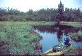 A small pond just above a beaver dam