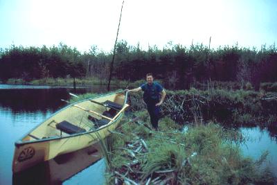 Crossing a beaver dam on the way to Obukowin Lake