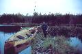 Crossing a beaver dam on the way to Obukowin Lake