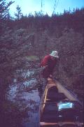 A wet spot on the trail to Obukowin Lake