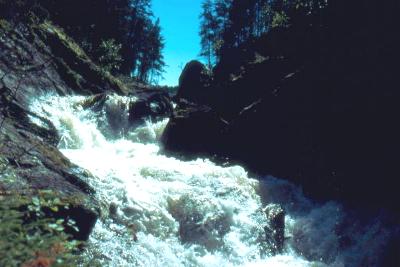 A falls along the Haggart River - Woodland Caribou Park