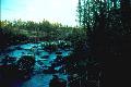Portage stream - Broken Arrow Lake