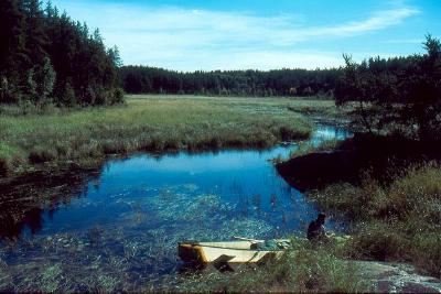 A portage landing along the Wanipigow River