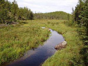 A small channel not marked with float bottles