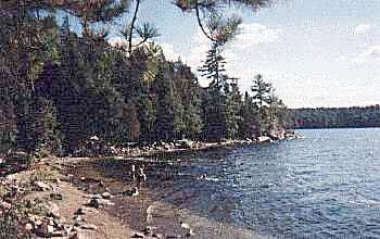 End of day swim, algonquin park