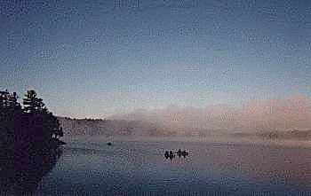 American friends in the morning mist, Algonquin Park