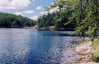 Royd Creek - Woodland Caribou Park