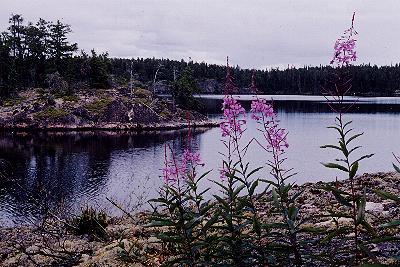 Welken Lake - Woodland Caribou Provincial Park