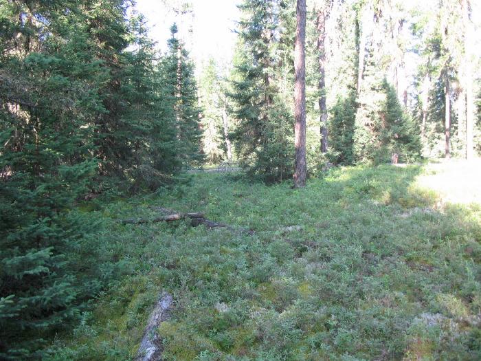 Woodland Caribou Park