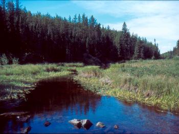 The Wanipigow River