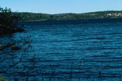 Windbound on Hansen Lake - Woodland Caribou Park