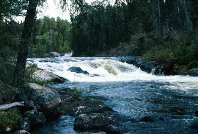 Donald to Carroll Rapids - Woodland Caribou Park