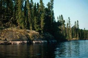 Carroll Lake - Woodland Caribou Park