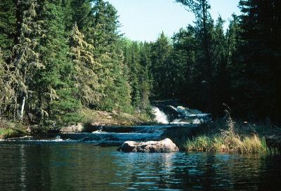 Rapids north of Carroll Lake - Woodland Caribou Park