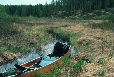 On the way to Dunston Lake - Woodland Caribou Park