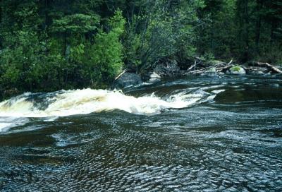 Along the 70 meter portage - Bloodvein River