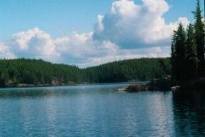 Royd Lake - Woodland Caribou Park