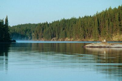 Royd Lake - Woodland Caribou Park