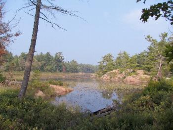 Lighthouse Lake Cove - Killarney Provincial Park