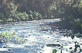 Amable du Fond River - Algonquin Park, Canada
