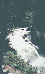 Bottom of Gorge
