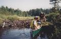 John and Norm R. at the beaver dam