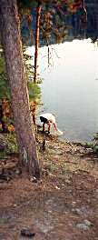 Wayne collecting water - Algonquin Park, Canada