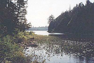 Erables Lake cove to the portage - Algonquin Park, Canada