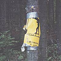 Repaired portage sign - Algonquin Park, Canada