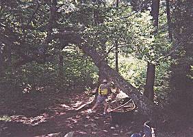 John, saving his canoe - Algonquin Park, Canada