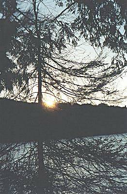 Sun's reflection through the woods on Three Mile Lake - Algonquin Park, Canada