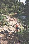Path to the beach - Algonquin Park, Canada