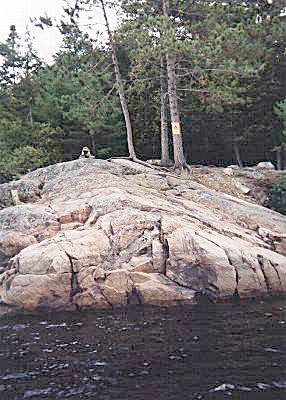 Facial image of the "Slumbering Sentinel"