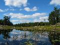 Peterson Bay, Iron Lake