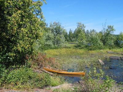 Near a campsite on Crooked Lake