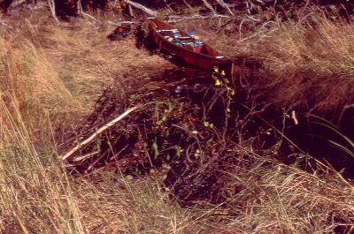 Beaver Dam