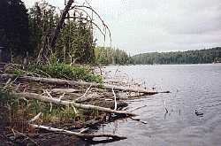 channel in woodland caribou provincial park