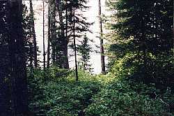 The portage from Sylvia to Bilko - Woodland Caribou Park