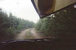 a narrow trail near woodland caribou provincial park, ontario