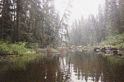 misty channel on the way to a campsite - woodland caribou park