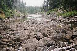 A boulder field to cross - woodland caribou park - ontario canada