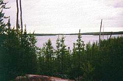 View from the top of a burned island - Irregular Lake